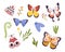 Set Of Colorful Butterflies, Fluttering With Grace And Beauty, Showcasing Intricate Patterns And Vibrant Hues