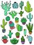 Set Of Colorful Cactus Icons.