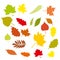 Set of colorful cartoon autumn leaves. Vector illustration.