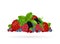 Set of colorful cartoon berries: blueberry, blackberry, raspberry, strawberry, cranberry, mint leaves. Vector illustration,