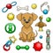 Set colorful of cartoon dog and toys for pet shop