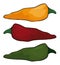 Set of colorful chili peppers in cartoon style, Vector illustration