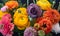 Set of colorful and differently shaped buttercup blossoms with buds on blue background