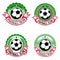 Set of colorful football club emblems. Soccer club. Design element for logo, label, emblem, sign.