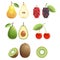 Set of colorful fruit icons pear, mulberry, cherry, kiwi, avocado. Vector illustration.