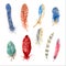 Set of colorful graphic bird feathers. Watercolor Illustration