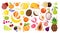 Set of colorful hand draw fruits - tropical sweet fruits, and citrus fruit illustration. Apple, pear, orange, banana