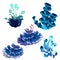 Set of colorful marine cartoon algae and coral polyps isolated on white background. Vector illustration.