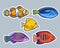 Set of colorful marine fish sticker