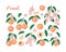 Set of colorful peach fruit, leaves, branches and flowers isolated on white background. Vector illustration in sketch style.
