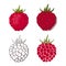 Set of colorful raspberry icons on a white background, silhouett