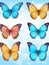 Set of colorful realistic butterflies.