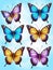 Set of colorful realistic butterflies.