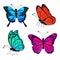 Set of Colorful Realistic Butterflies