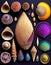 Set of colorful seashells on a dark background. Top view