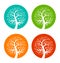 Set of Colorful Season Tree icons