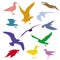 Set of colorful silhouettes of seagulls