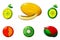 Set of colorful southern fruits icons isolated on white background.