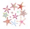 Set of colorful starfishes