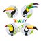 Set of colorful tropical birds in different design styles - toucan