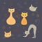 Set colors of Funny cats on dark background. Adult cat and kitten, arched back, cat face and ornaments
