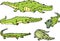 Set of comic gators and amusing crocodiles