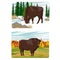 A set of compositions with a European bison. Bison in their natural habitat in winter and autumn