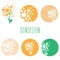 Set of concept abstract logo dandelions. illustration