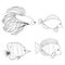 Set of contour different tropical fish. Fish rooster, pennant fish, royal angel. Marine inhabitants. Vector outline silhouette