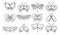 Set of contour drawings of insects, butterflies, dragonflies and moths. Design for coloring book. Icons vector