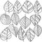 Set of contour leaves with linear patterns, coloring page on autumn theme, plant doodle elements