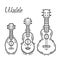 Set of contour ukulele with decoration. Hawaiian music. Musical string instrument. Vector outline element