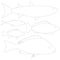 Set with contours of various fishes isolated on a white background. Vector illustration