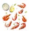 Set of cooked watercolour shrimps with bowl of sauce, lemon quarter, dill and slices of onion isolated on white background