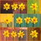 Set Coolage Yellow Daffodil flowers - Narcissus