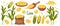 Set of corn grains and spikelets. Corn plant, Sweet corn, corn cobs, corn grains in a plate, spoon and bag. Agriculture, food