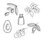 Set of cosmetic oil and plants, olive branch, almond branch with flowers, grapes, avocado, rose hips, vector illustration, sketch