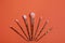 Set of cosmetics brushes on coral background