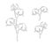 Set of Cotton flowers in one line art style. Continuous drawing illustration can used for icon, wall art prints, posters