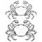 Set of crabs icons isolated on white background. Design elements