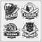 Set of cricket badges, labels and design elements. Sport club emblems with grizzly bear, panther, coyote and eagle.