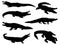 Set of Crocodile silhouette vector art