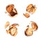 Set of crushed hazelnuts isolated on a white background