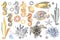 Set of cute abstract sea horses, fish, turtle, starfish, shell, seaweed, gear wheels. Fantastic mechanical metal sea creatures.