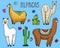 Set of cute Alpaca Llamas or wild guanaco on the background of Cactus. Funny smiling animals in Peru for cards, posters