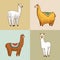 Set of cute Alpaca Llamas or wild guanaco on the background of Cactus and mountain. Funny smiling animals in Peru for