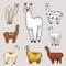 Set of cute Alpaca Llamas or wild guanaco on the background of Cactus and mountain. Funny smiling animals in Peru for