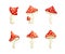 Set of cute amanita poisonous mushrooms vector illustration