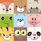 Set of Cute animals faces