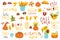 Set of cute autumn cartoon characters, plants and food.